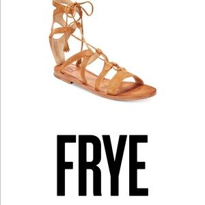 Frye gladiator sandals